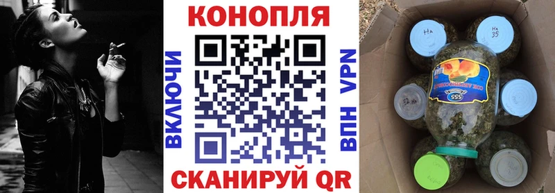 Канабис гибрид  Приволжск 